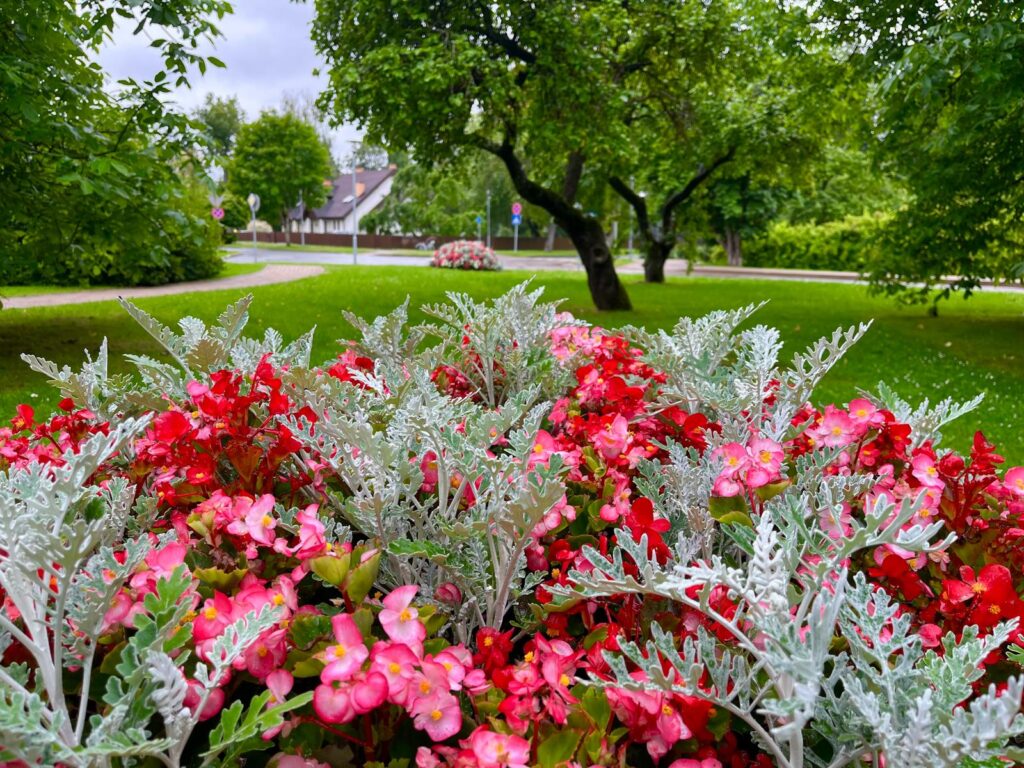 116ce510-115b-41bc-818f-a850e4406461