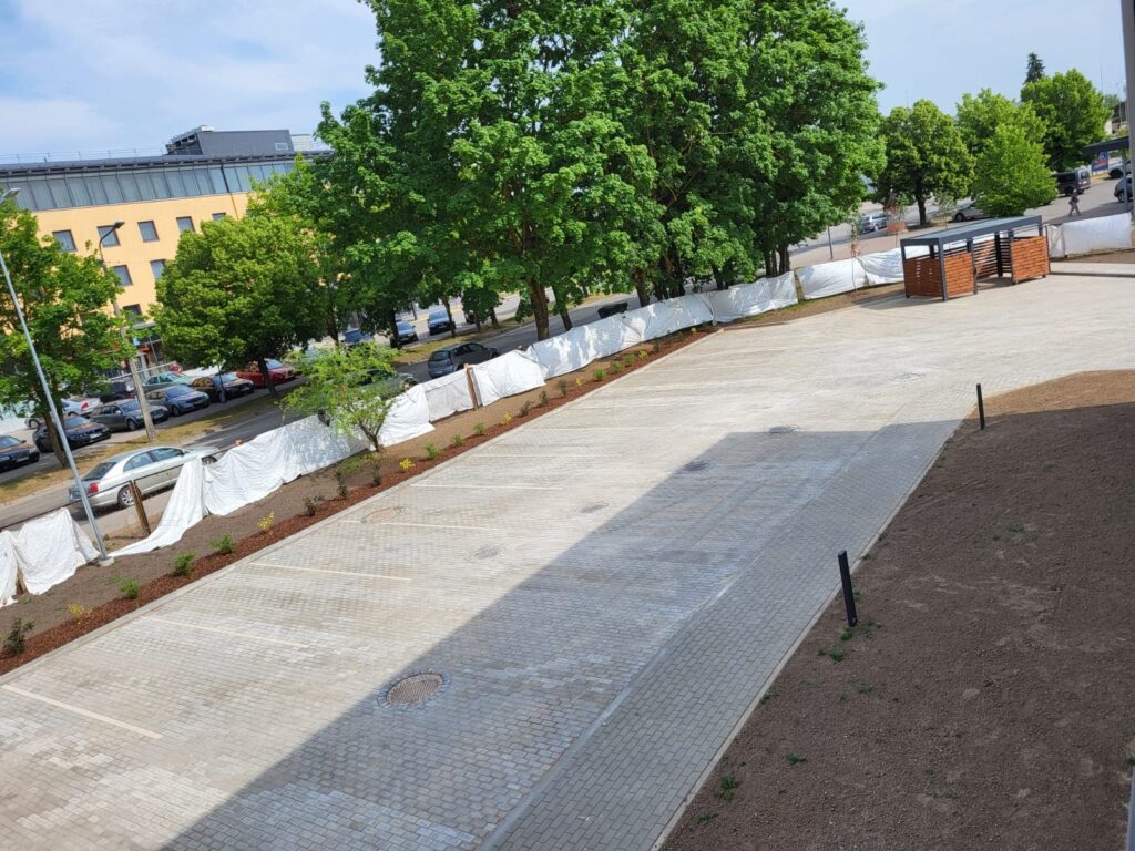 WhatsApp Image 2023-06-16 at 17.10.52