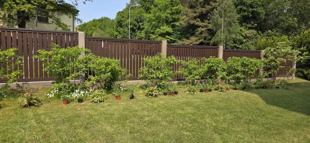 WhatsApp attēls 2025-06-12 plkst. 19.19.22_424f91da